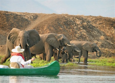 Canoeing on the Zambezi, elephant sighting, Lower Zambezi National Park