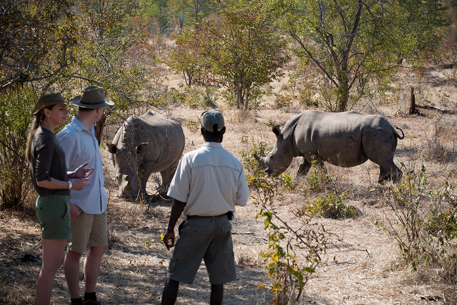 Guide rhino walk in Mosi oa Tunya National Park